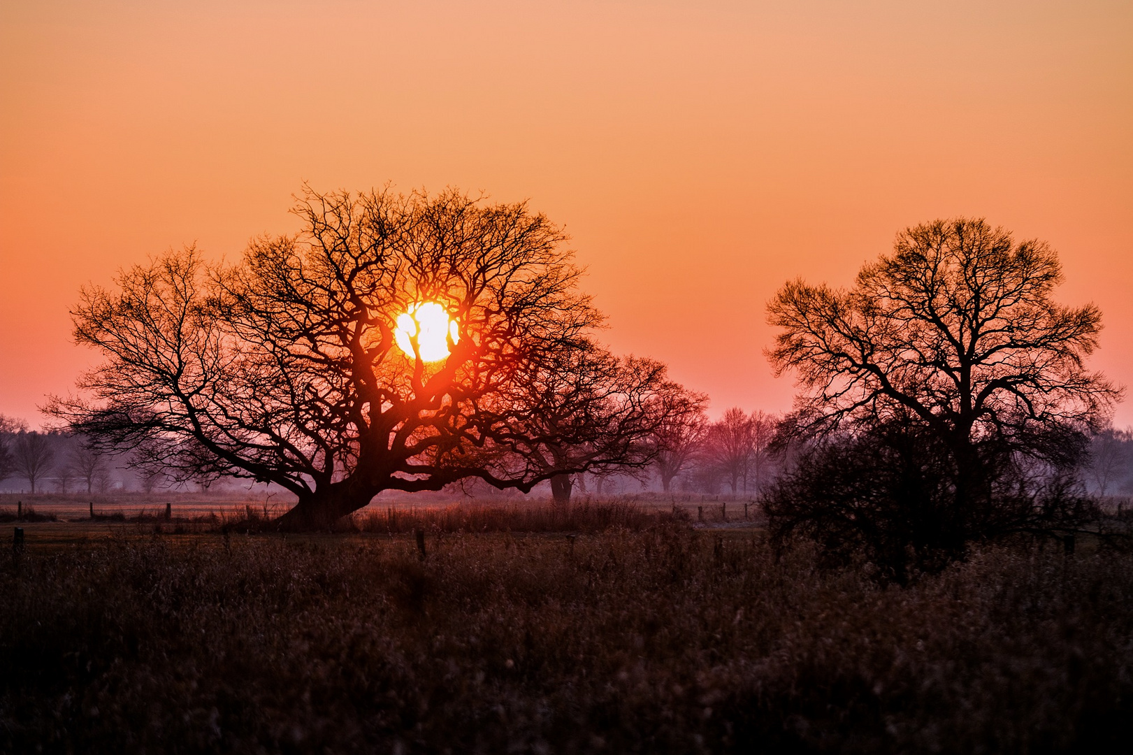 Wintersonnenuntergang