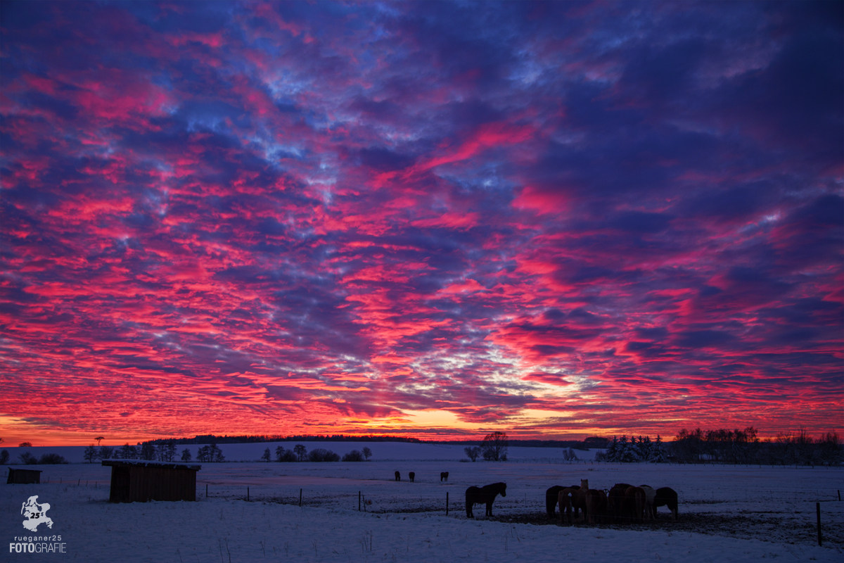 Wintersonnenuntergang