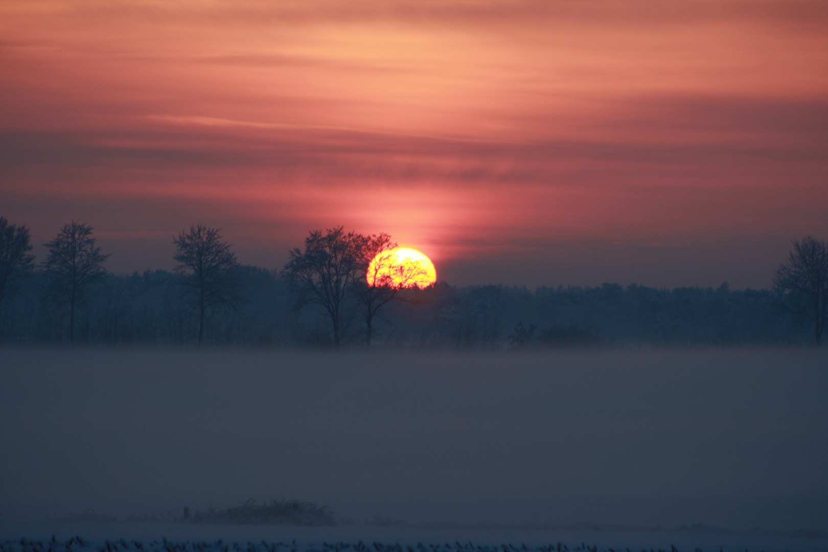 wintersonnenuntergang mit nebel