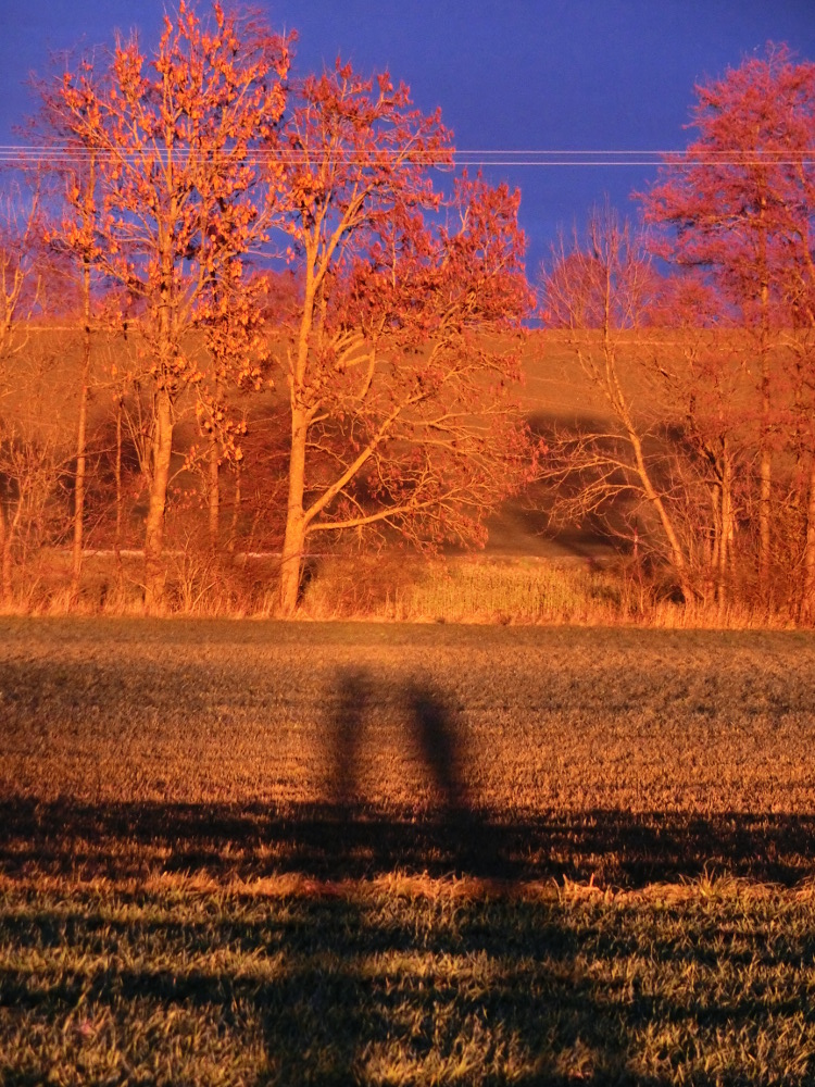 Wintersonnenuntergang mit zwei Riesen