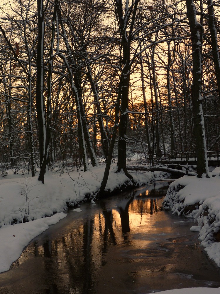 Winter,Sonnenuntergang-Stimmung