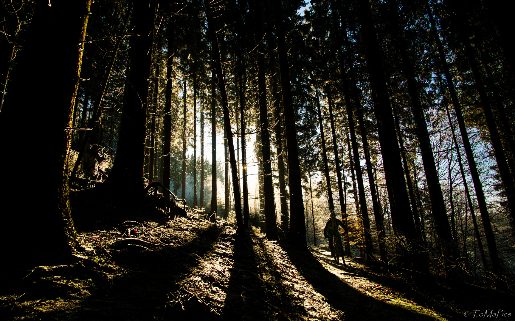 Wintersonnenwende...Tag der längsten Schatten