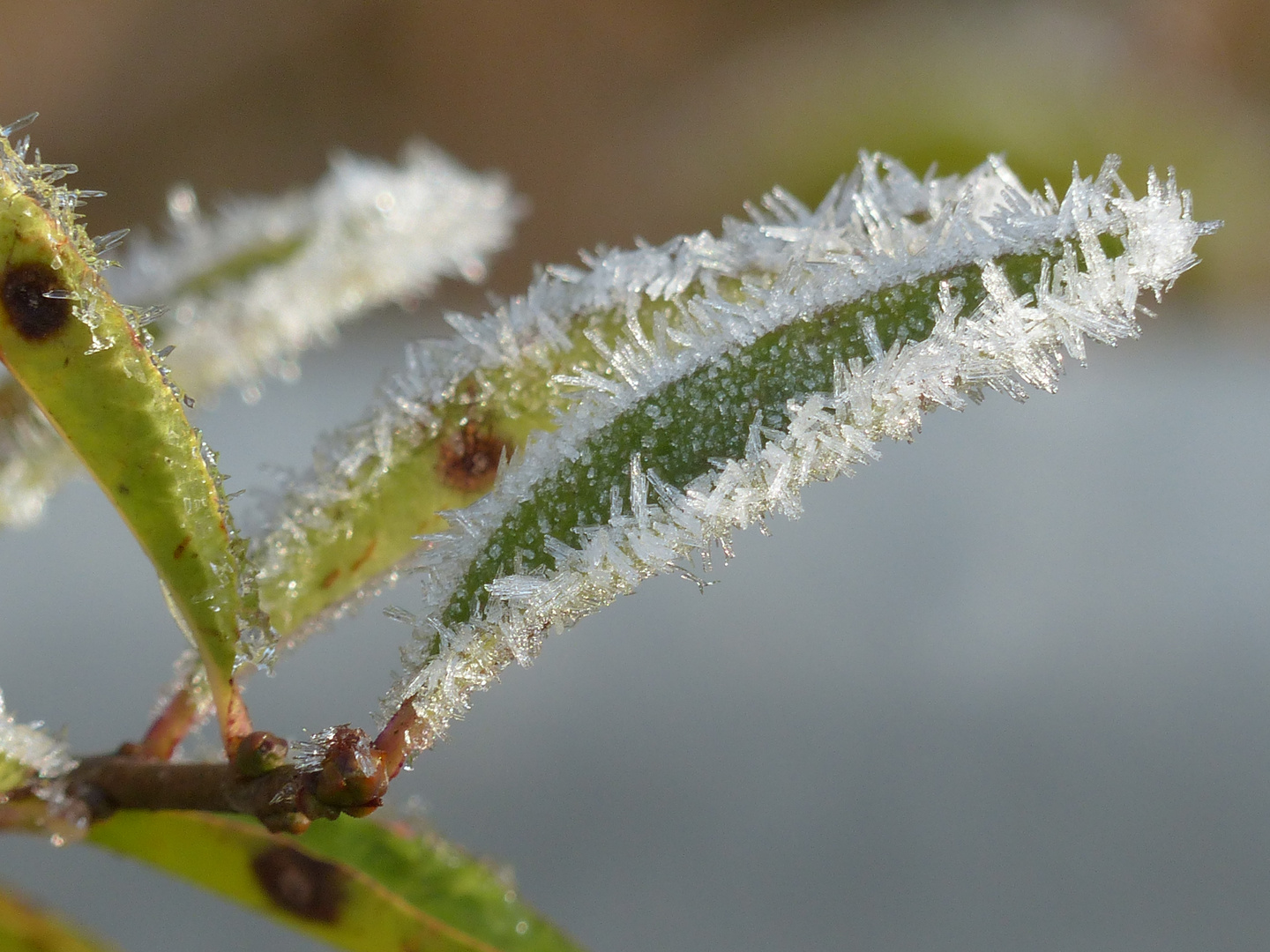 Wintersonnenzeit