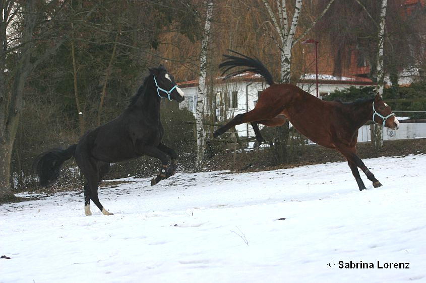 Winterspaß:-)