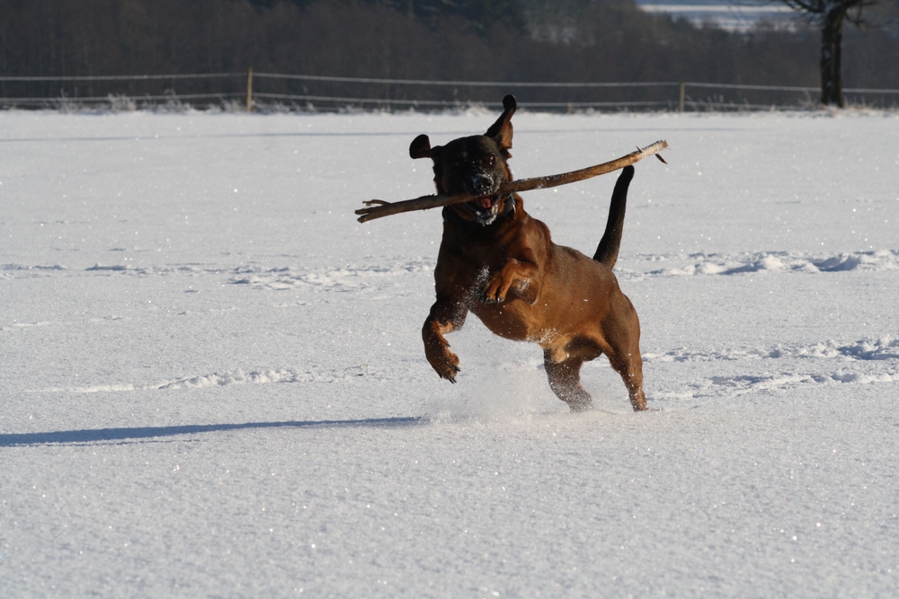 winterspaß