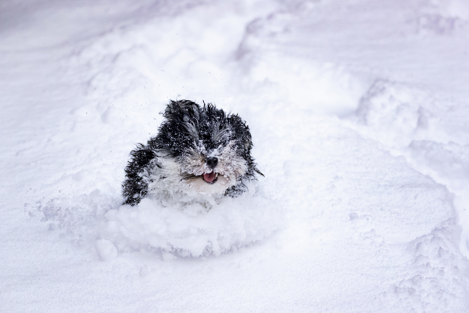 Winterspaß