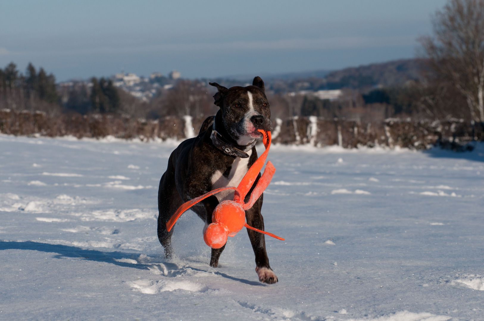 Winterspaß...