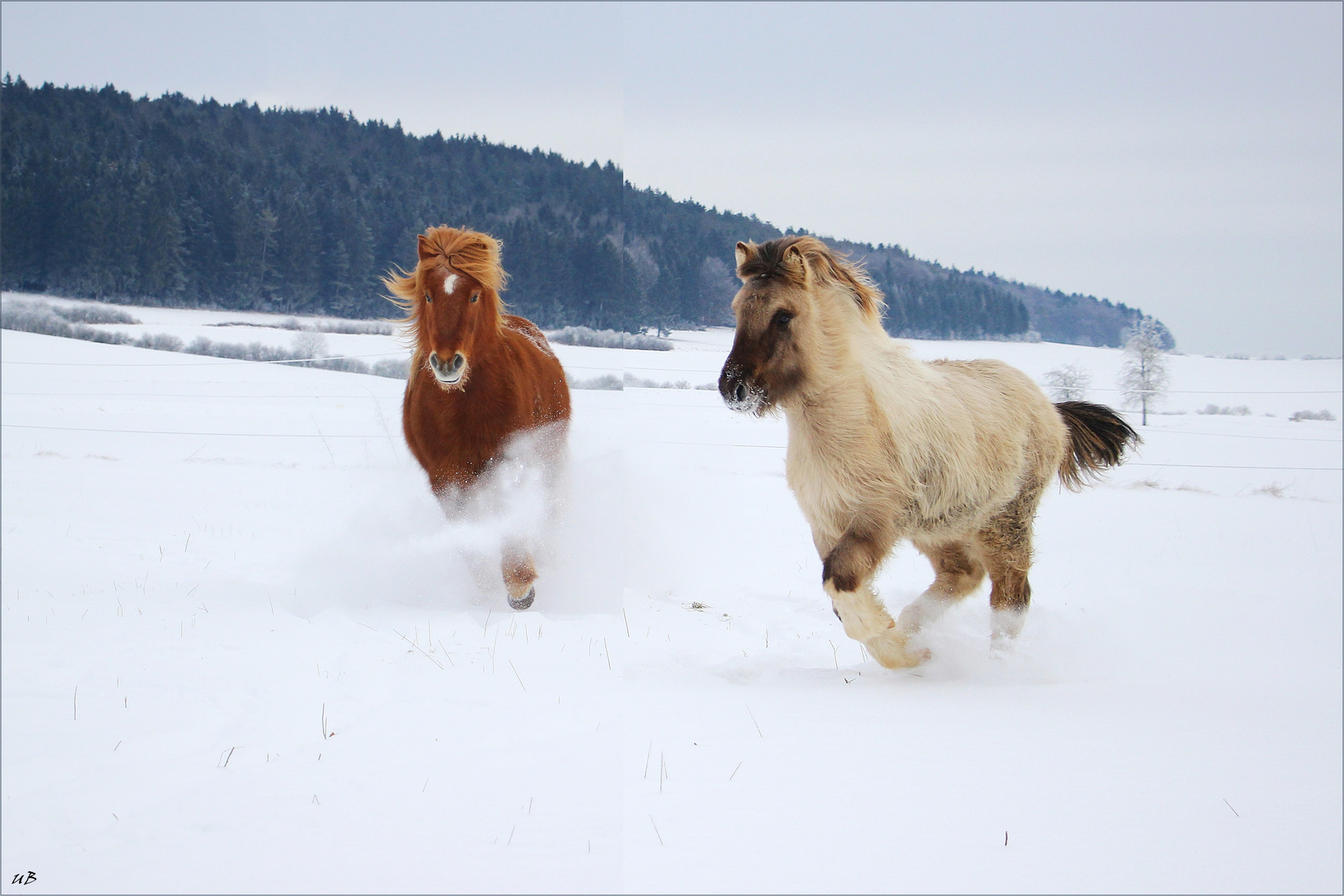 ... Winter.Spaß ...