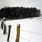 Winterspass am Herbsthäuschen...