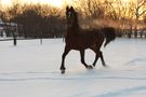 Winterspaß von IFTweety 