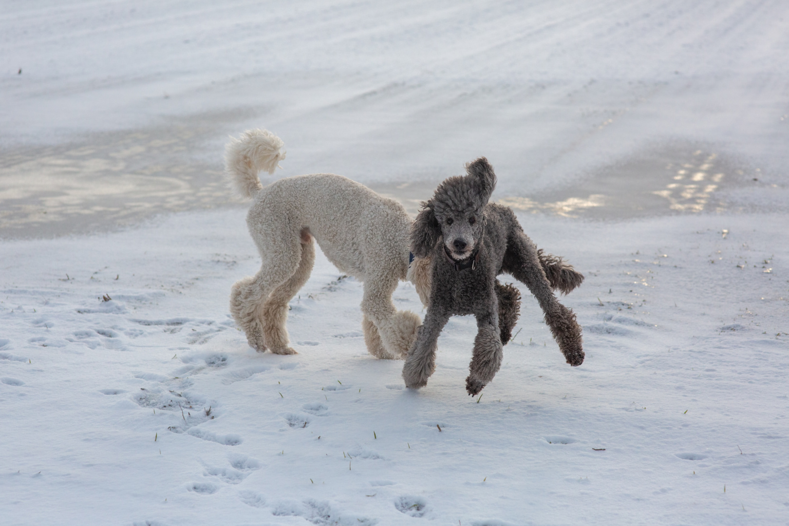 Winterspaß