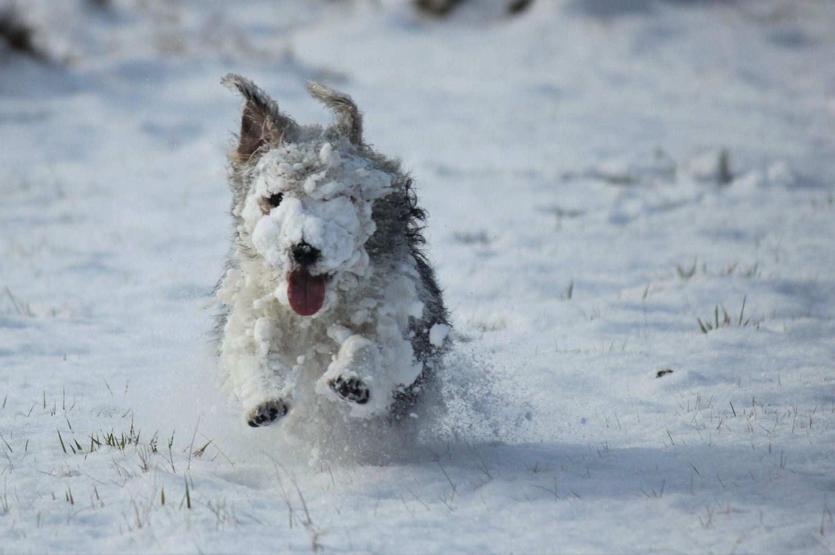 Winterspaß