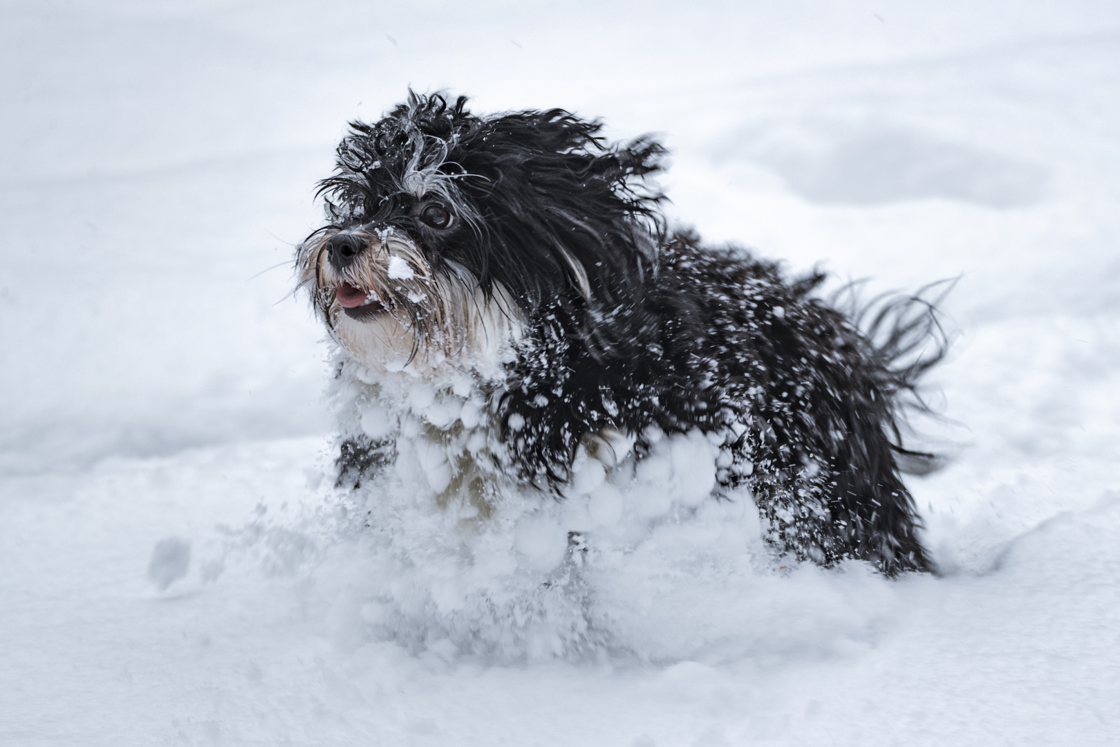 Winterspaß