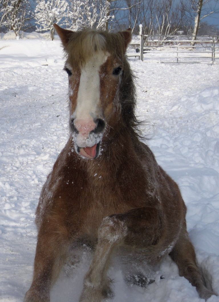 Winterspaß!