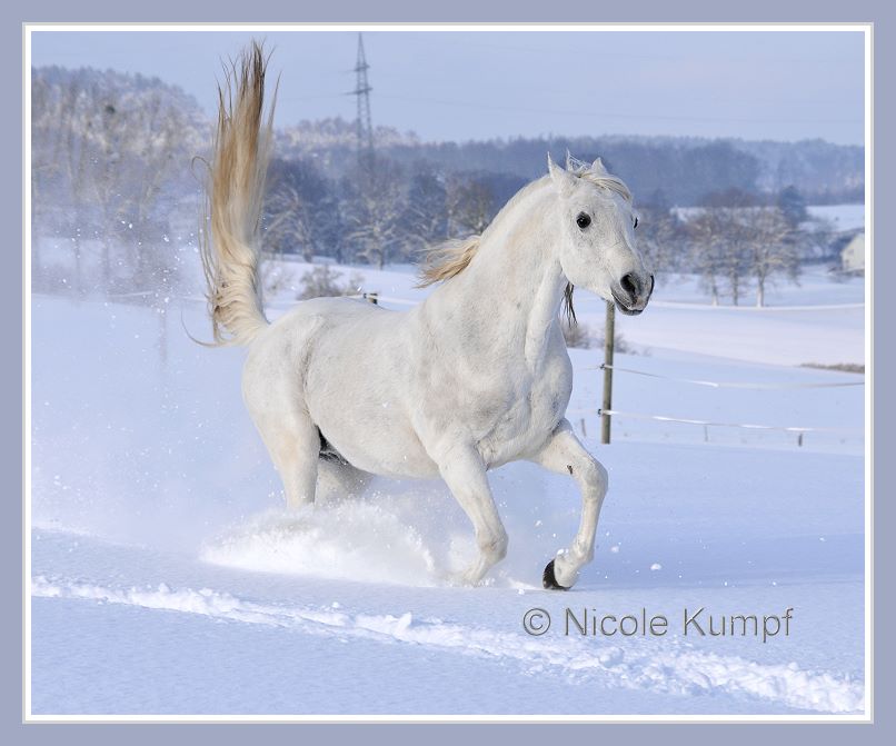 Winterspaß II