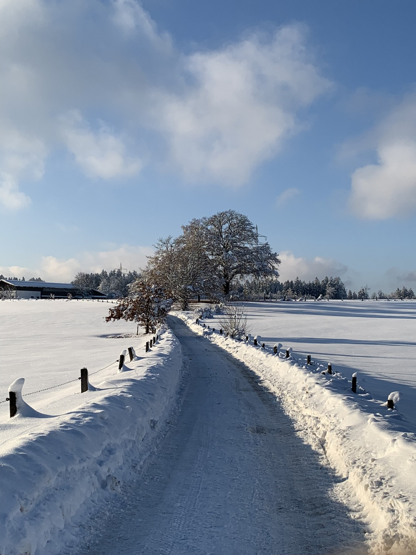 Winterspaziergang