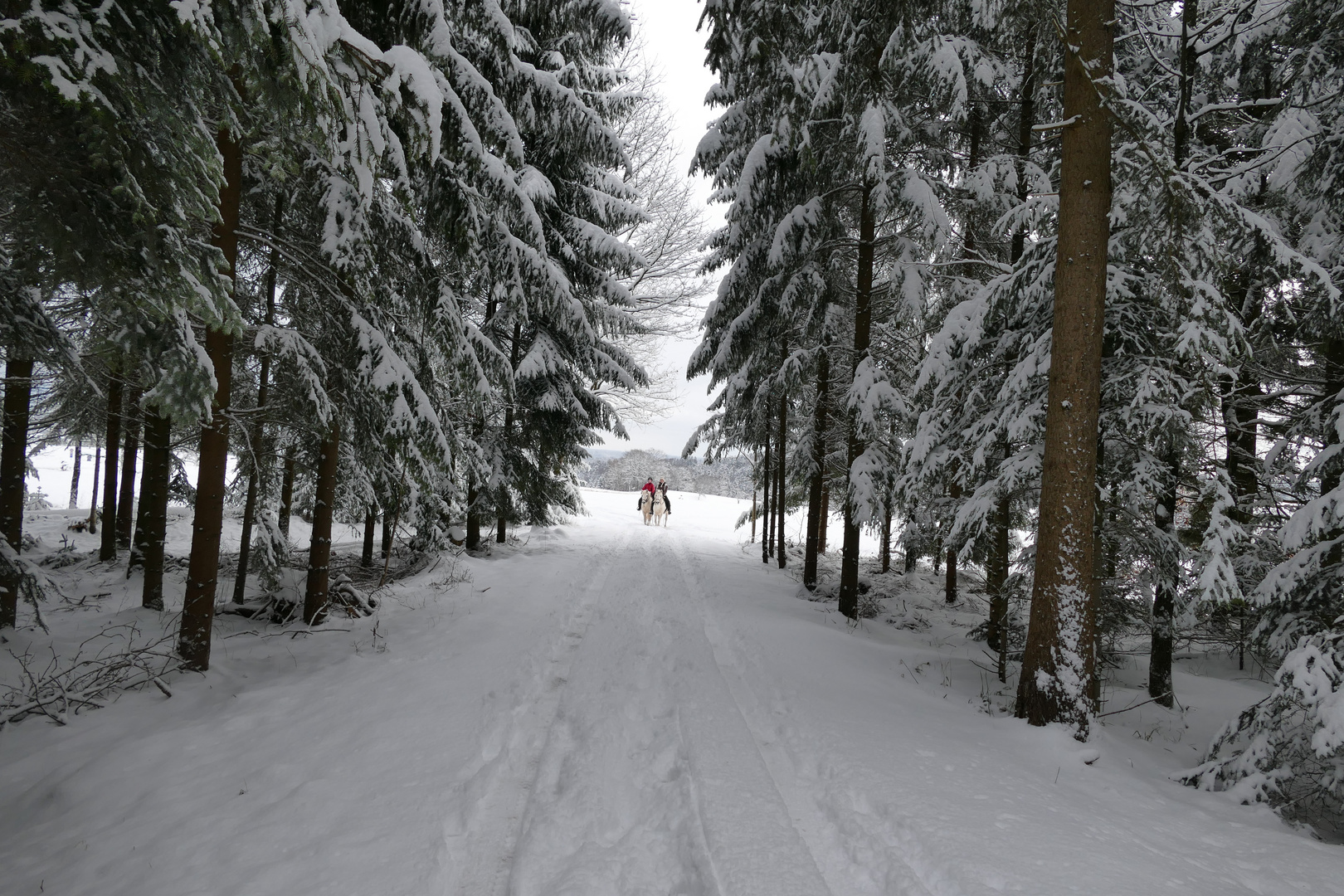 Winterspaziergang