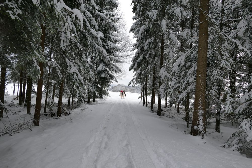 Winterspaziergang