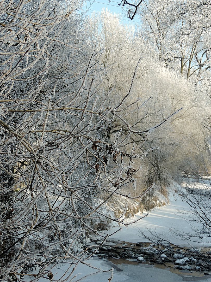 Winterspaziergang