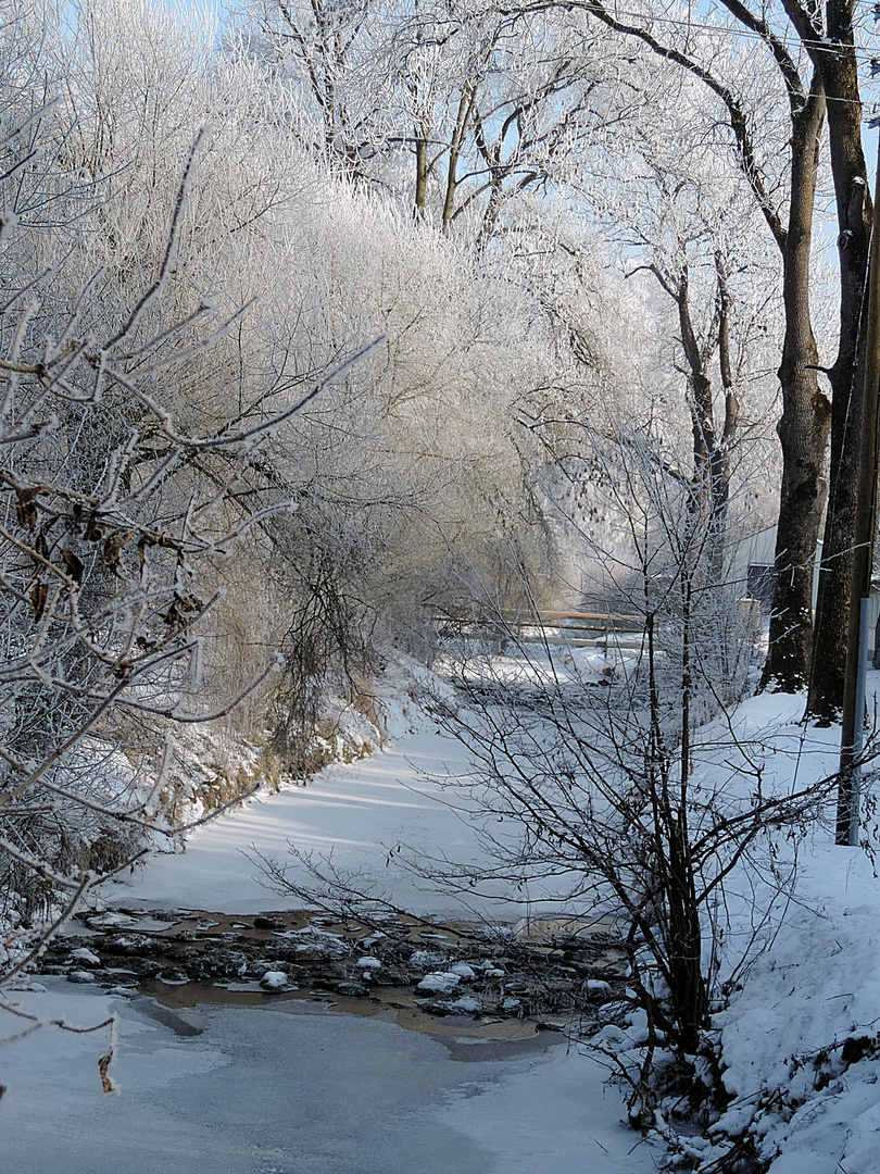 Winterspaziergang