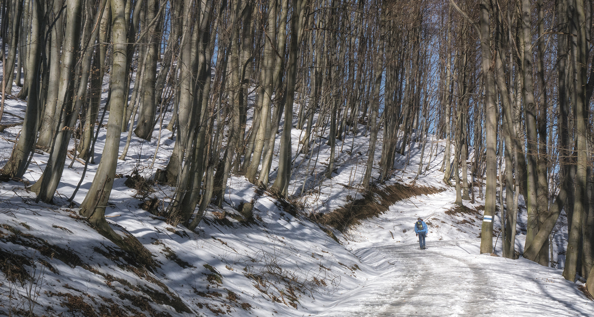 Winterspaziergang