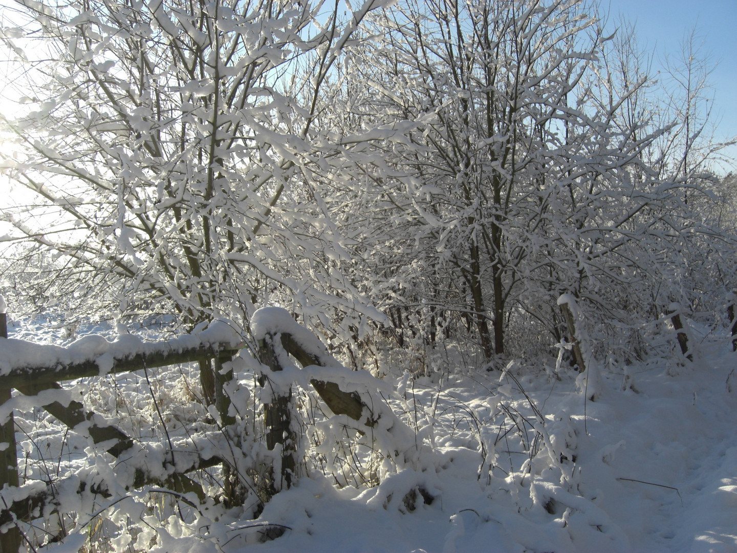 winterspaziergang 07.12.2012