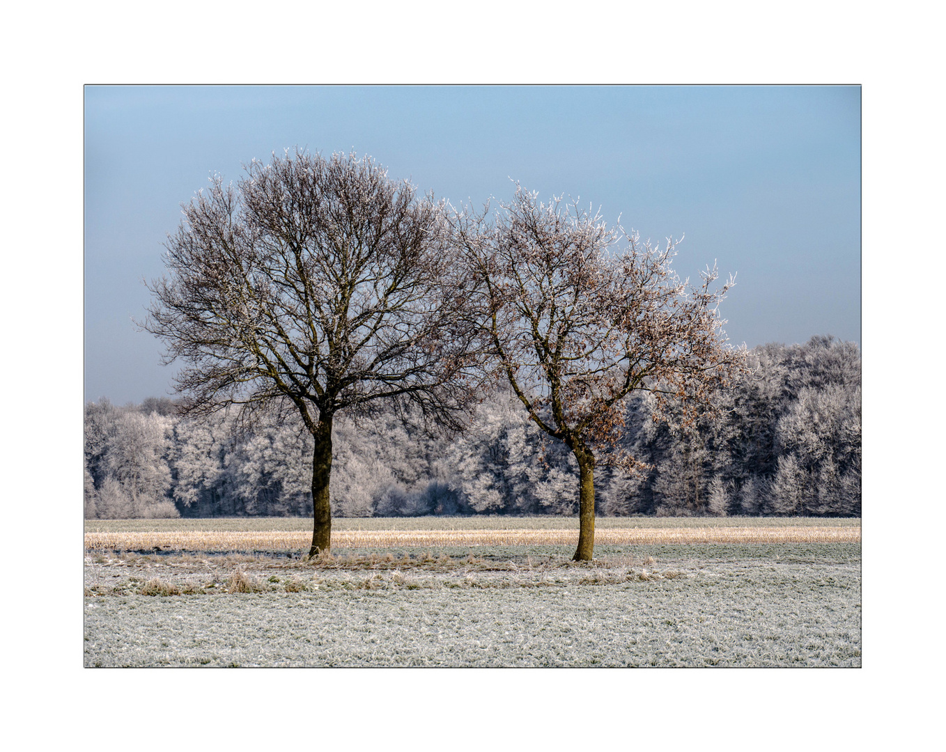 Winterspaziergang