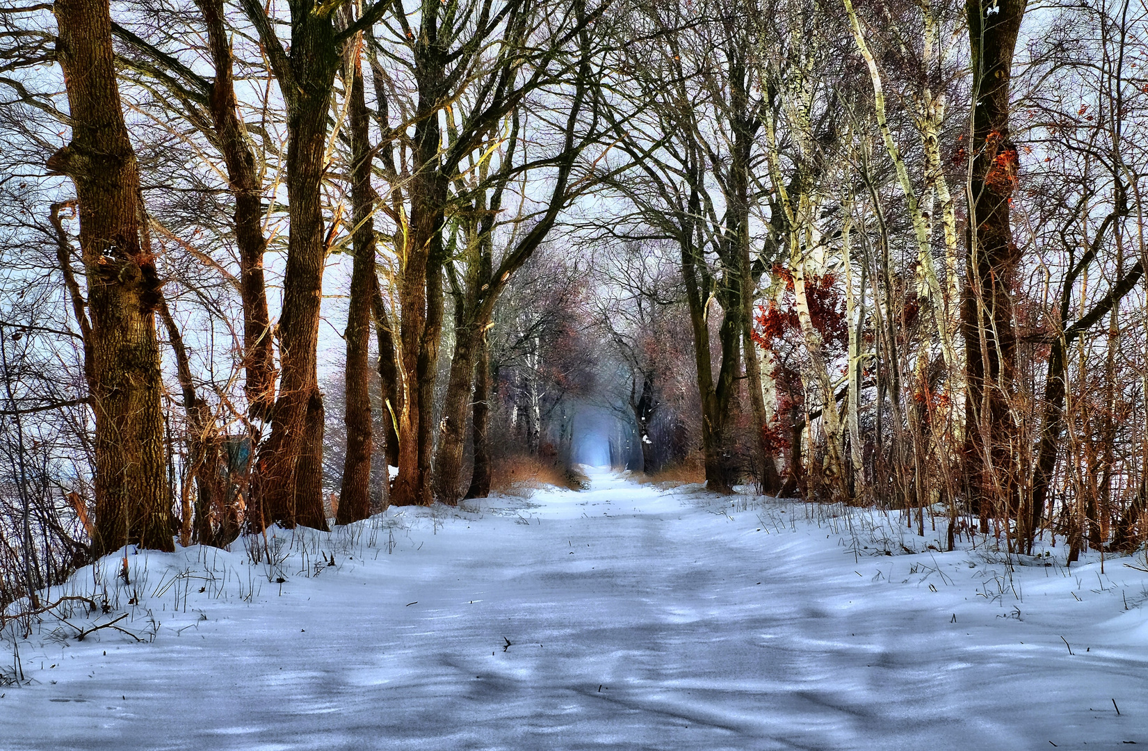 Winterspaziergang