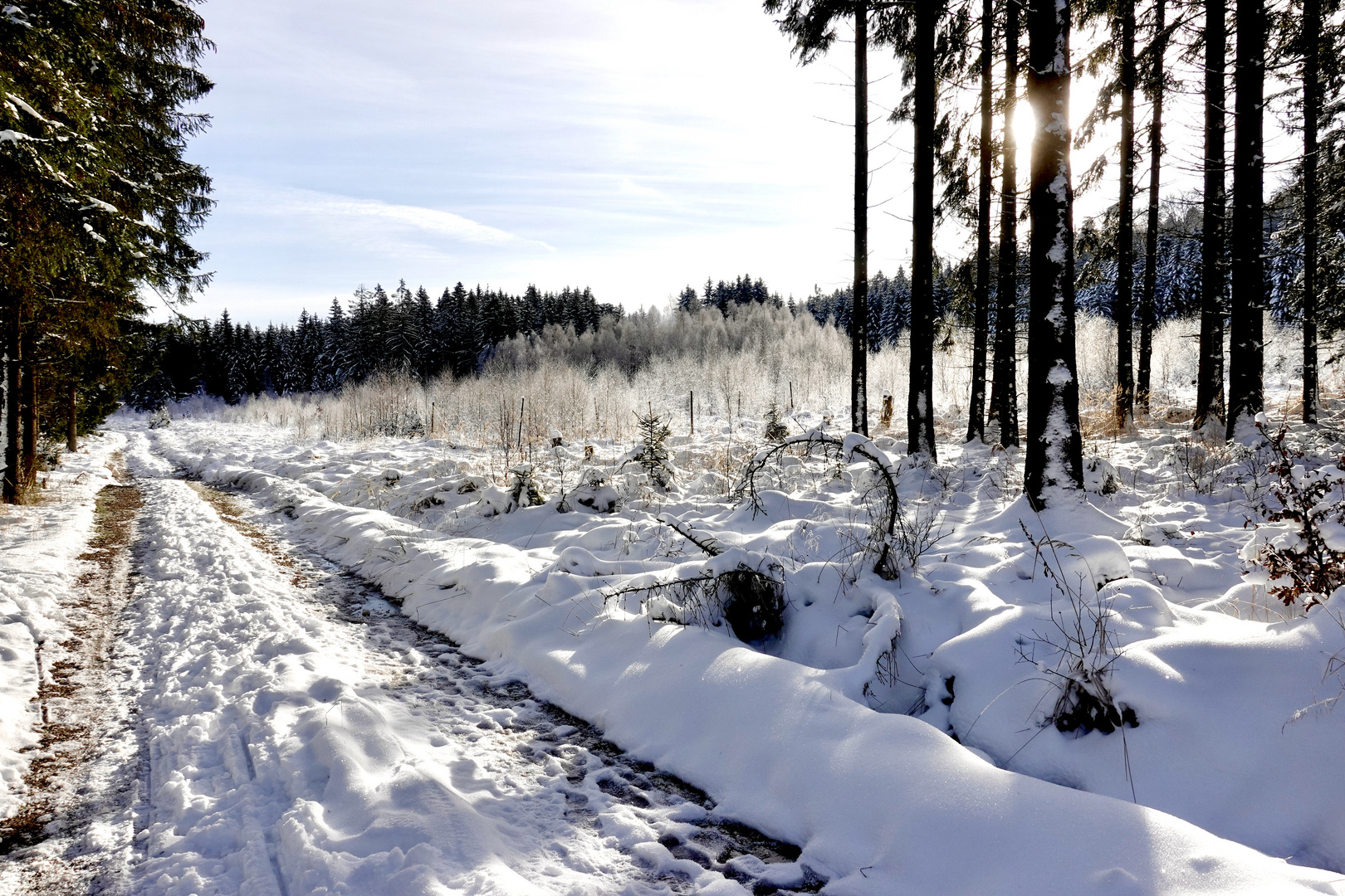 Winterspaziergang