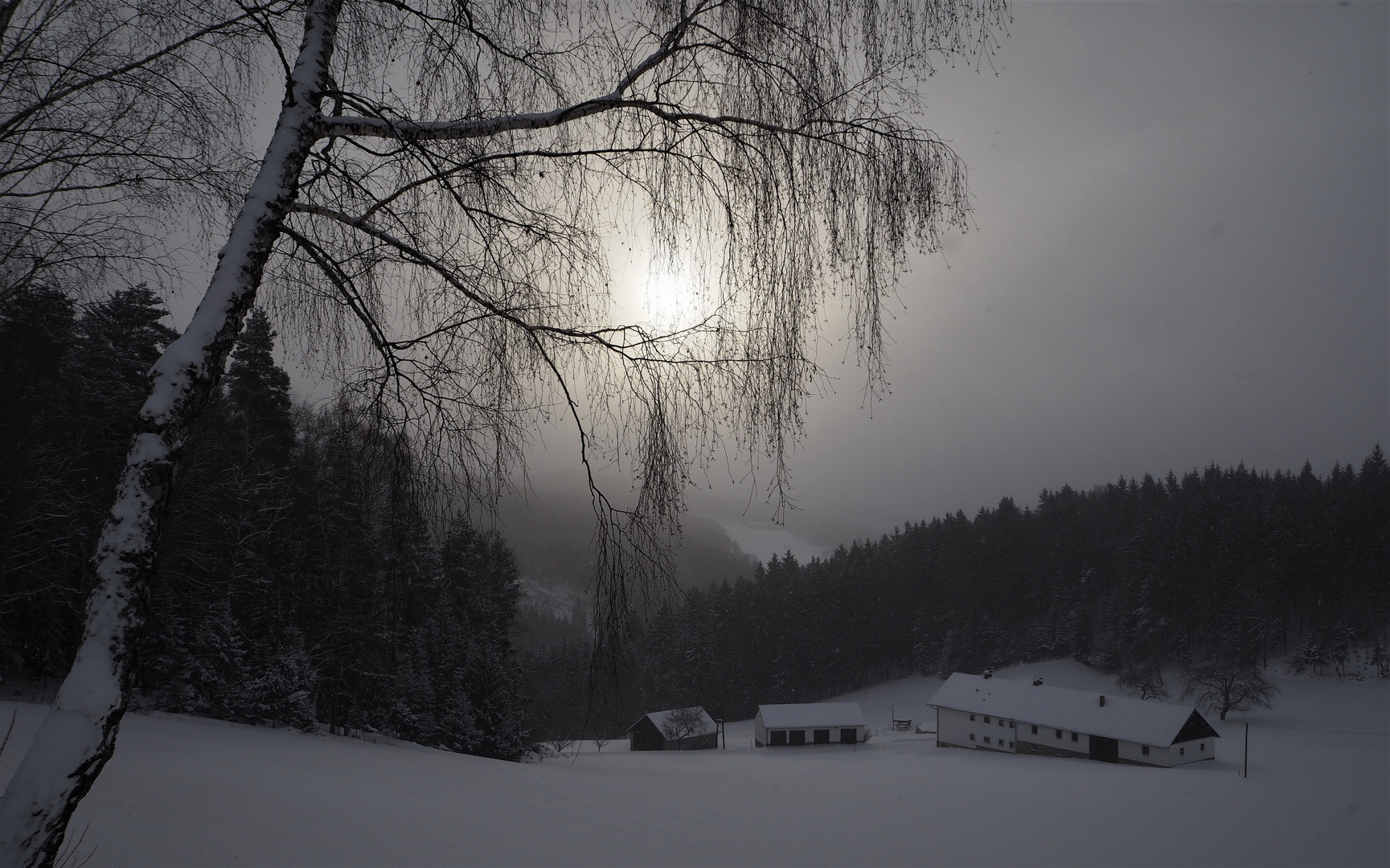 Winterspaziergang