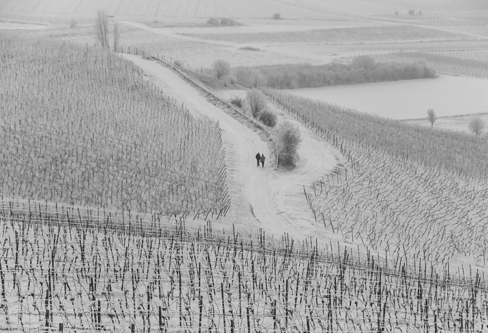 Winterspaziergang.........