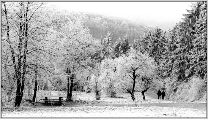 Winterspaziergang