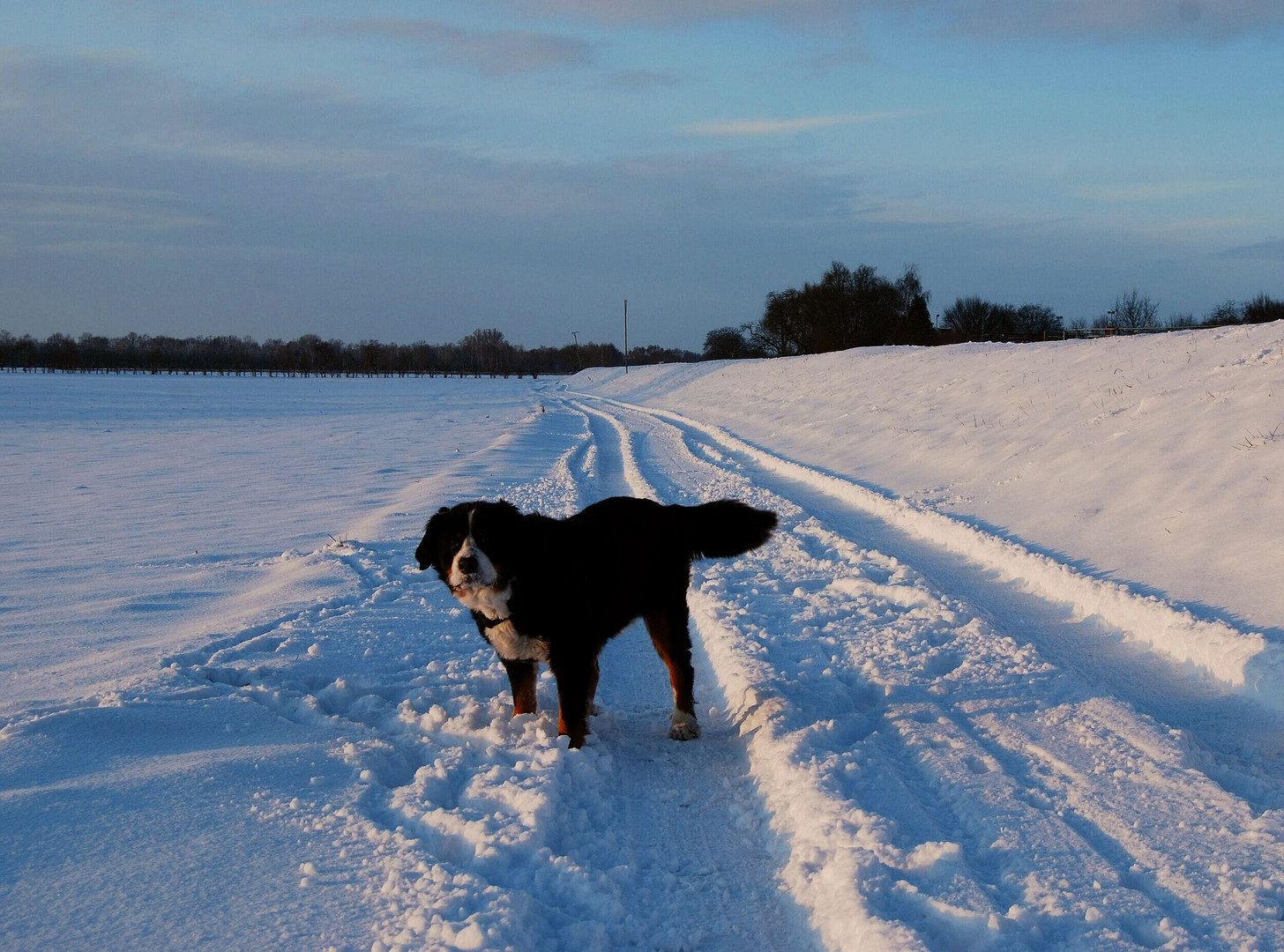 Winterspaziergang