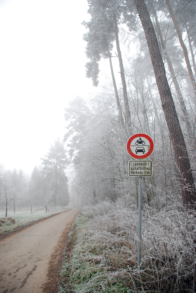 Winterspaziergang