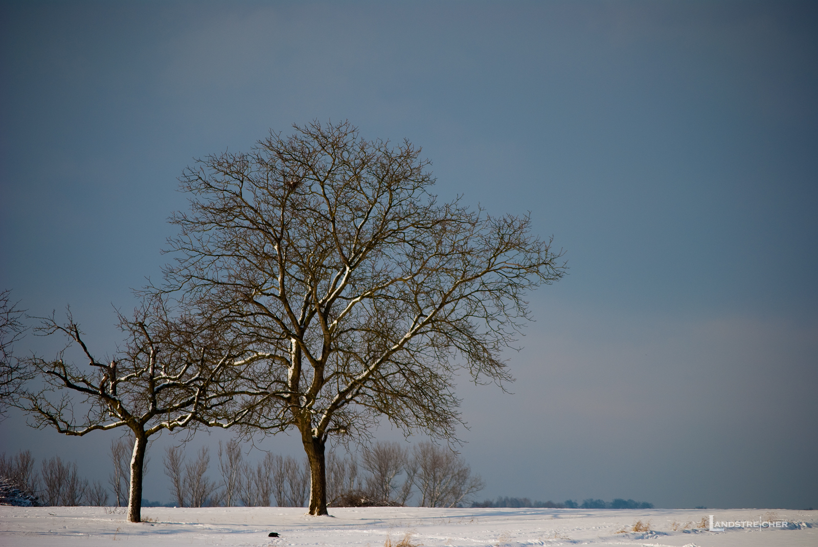 Winterspaziergang