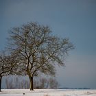 Winterspaziergang