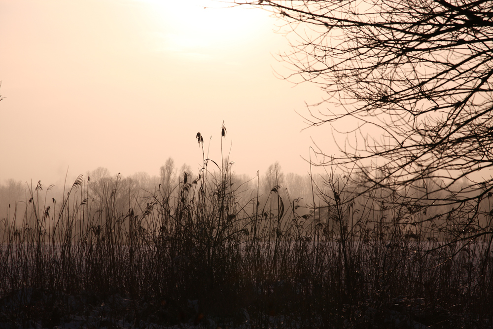 Winterspaziergang