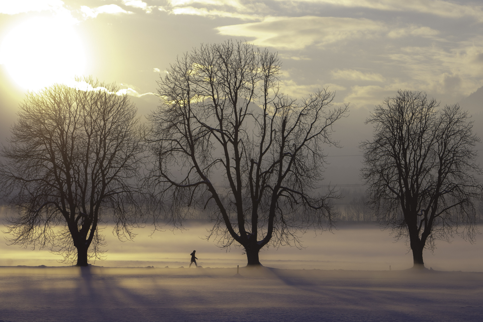 winterspaziergang