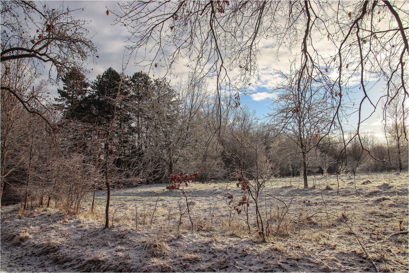 Winterspaziergang 1