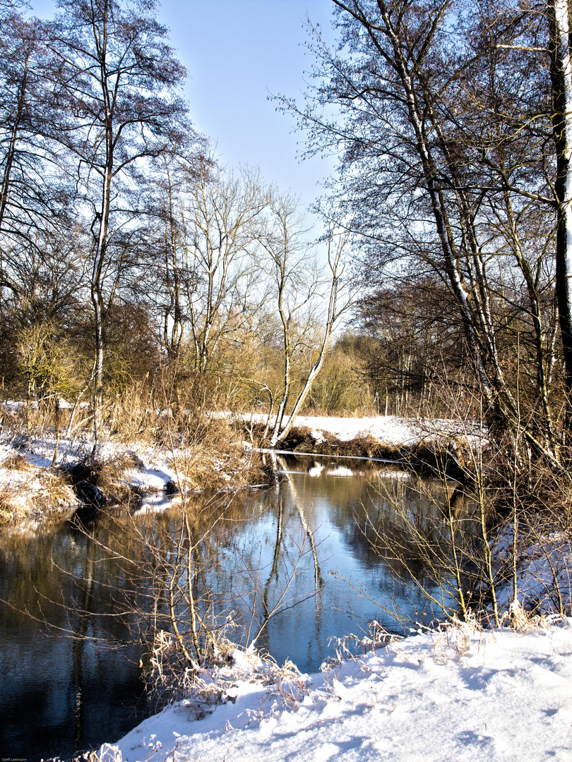 Winterspaziergang 1