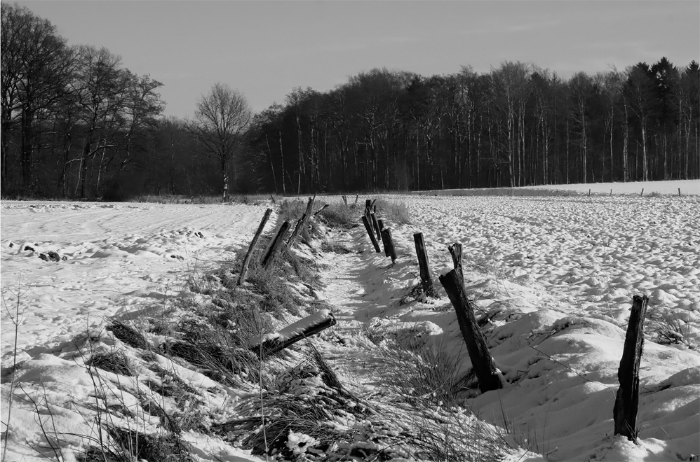 Winterspaziergang #1