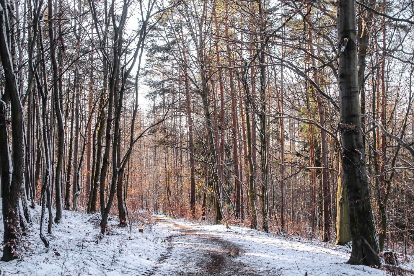 Winterspaziergang (1)