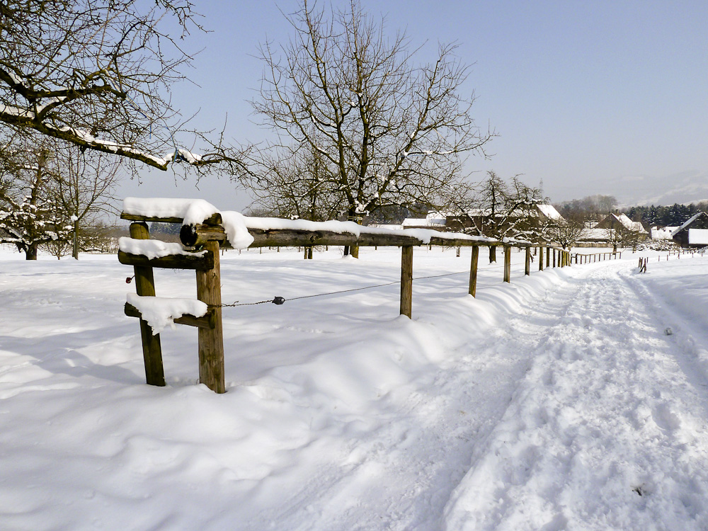 Winterspaziergang (1)