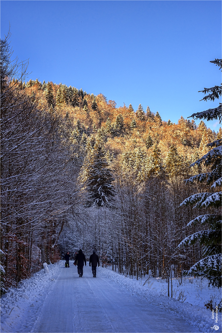 Winterspaziergang ...