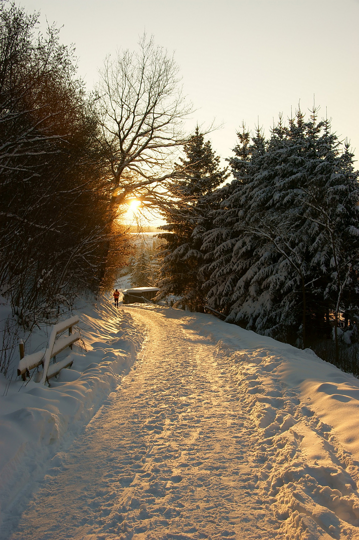 Winterspaziergang