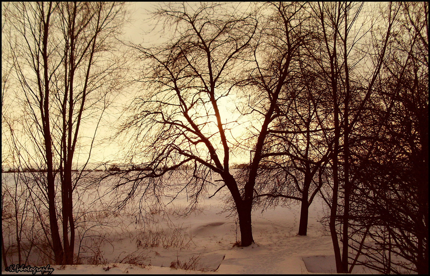 Winterspaziergang.