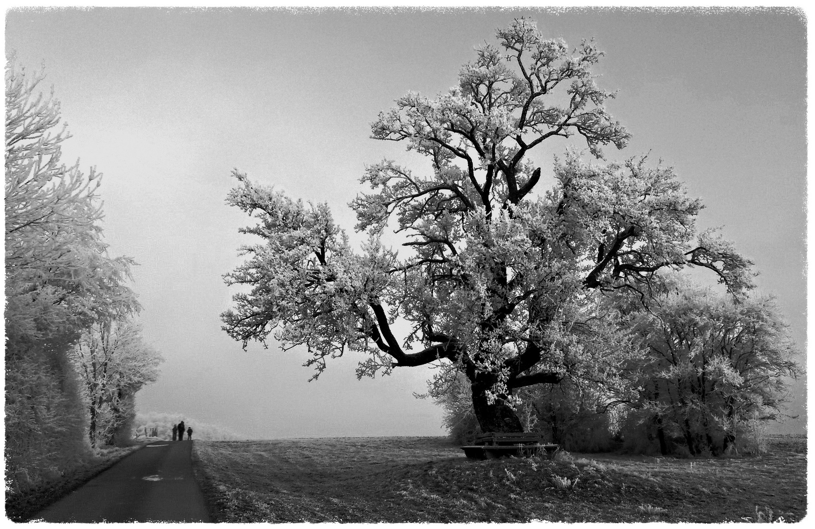 Winterspaziergang