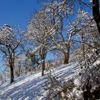 Winterspaziergang