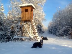 Winterspaziergang