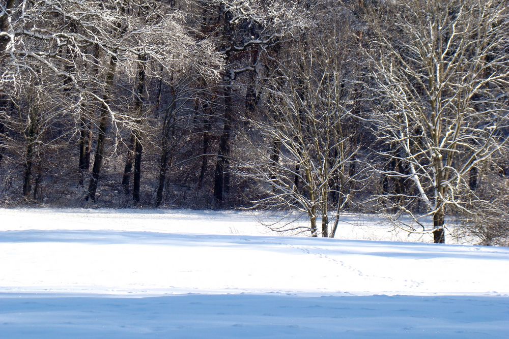 Winterspaziergang